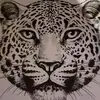 Tiger BVB - @michaelwoltermann5 - TikTok