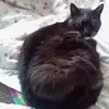 michae3k - @michaelwool - TikTok