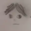 Michaelwoolery - @michaelwoolery - TikTok
