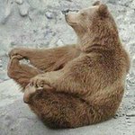 Michael Shawn Woolsey - @woolybear56 - Instagram
