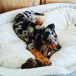 Gunner Michael Worthen - @gunnermike13 - Instagram