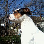 Michael  worthen - @waynetwo - Instagram