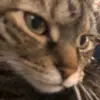 Michael Yeager - @mykulyeegr - TikTok