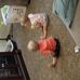 Michael Yearsley - Facebook