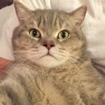 Michael Yiu - @chloe_yiu_0430 - Instagram
