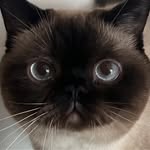 Michael Yiu - @michael.yiu.779 - Instagram
