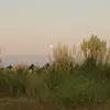 Michael Yñiguez - @michael.yiguez - TikTok