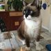 Michel Zapp - Facebook