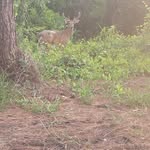 Michael Zarba - @zarba_boy - Instagram