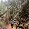 michaelzehr - @michaelzehr - TikTok