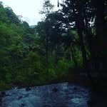MICHAEL zelaya - @michaelzelayamarcelo - Instagram