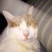 Michael Zientek - Facebook