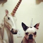 Michaela Armstrong🙉🙉🙊🙊 - @michaelailovedogs - Instagram
