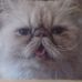 Michaela Becker - Facebook