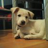 Michaela Bowers  - @michaela.bowers2008 - TikTok