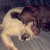 Makayla Dawson - Facebook