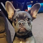 Mike Dawson - @michael.a.dawson - Instagram