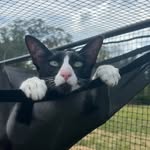 Michaela Day - @michaeladay406 - Instagram