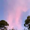 Michaela Gray - @michaela.gray7 - TikTok