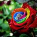 Michaela Green - Facebook