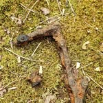 Michaela Hammond - @magneticfindings - Instagram