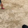 MichaelaHartman - @sydnejgabkr - TikTok