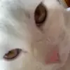 Michaela Hobbs - @michaela..hobbs - TikTok