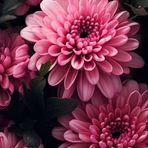 Michaela Huber - Facebook