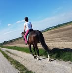 Michaela Koch - Facebook