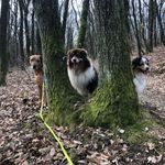 Michaela Kovacs - @michaela.kovacs.52 - Instagram