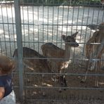 Michaela Kramer - Facebook