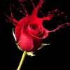 Michael A Martinez - @michaelamartinez3 - TikTok