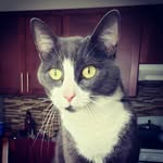 Michael A. Molina - @michael_a_molina - Instagram