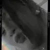 Michaela Moore - @michaela.moore8 - TikTok