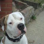 Michaela Park - Facebook