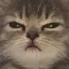 michaelapayne772 - @michaelapayne772 - TikTok