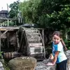 michaelapohl1 - @michaelapohl1 - TikTok
