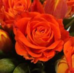 Michaela Powers - Facebook
