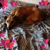 Michaela Richardson - @michaela.richards7 - TikTok