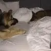 Michaela Richardson - @michaela.richards6 - TikTok