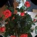 Michaela Rogers - Facebook