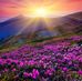 Michaela Rogers - Facebook