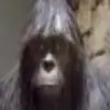 Michaela Silva - @michaela2801 - TikTok