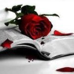 Michaela Stewart - @bookwormphoenix - Instagram
