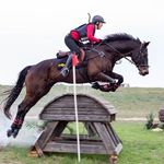 Michaela Stewart Equestrian - @michaelastewart_equestrian_ - Instagram