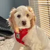 michaelathomas_21 - @michaelathomas_21 - TikTok