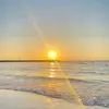 Michal tal - @mimi966885 - TikTok
