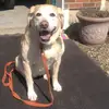 michalenesmith757 - @michalenesmith757 - TikTok