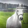 Michael Boyd - @michaelboyd220581 - TikTok