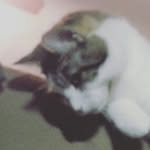 Micheal Brewer - @mbrewer0327 - Instagram